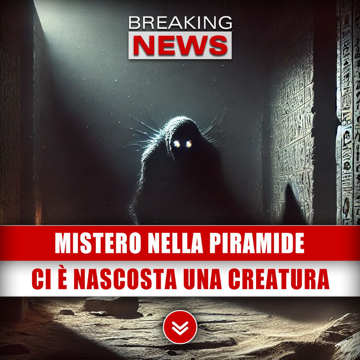 Breaking News Italia - Ultime Notizie