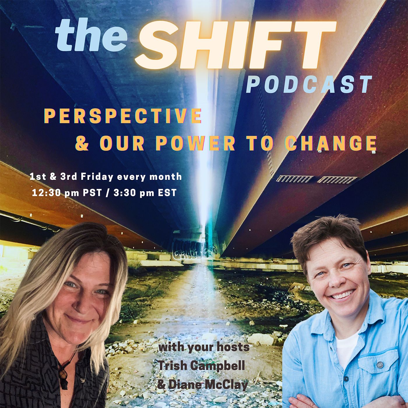 the SHIFT Podcast with Trish Campbell & Diane McClay: Perspective & Our Power to Change