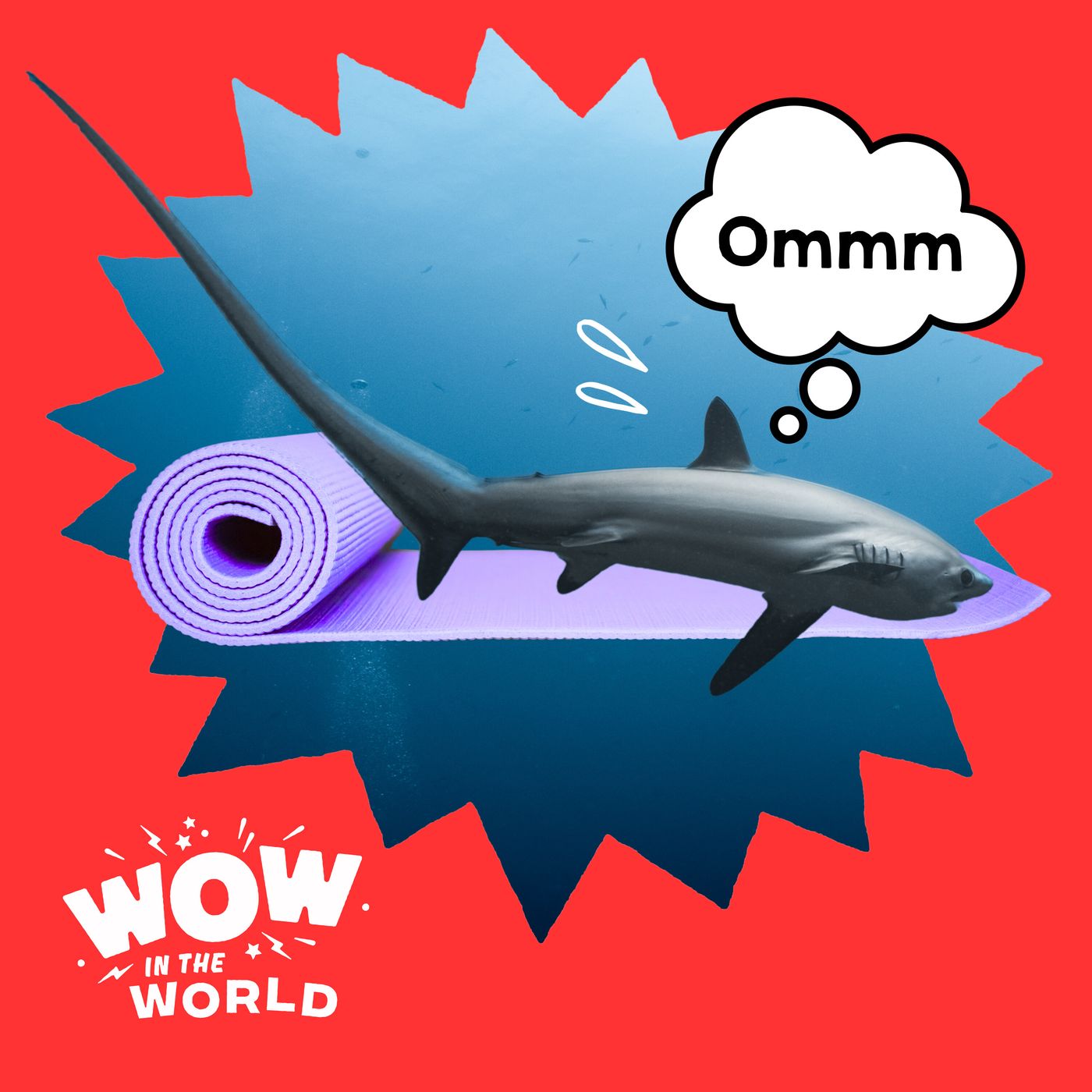 A Shark Tail: Can a Yoga Class Learn the Secrets of the Thresher Shark? (Encore)