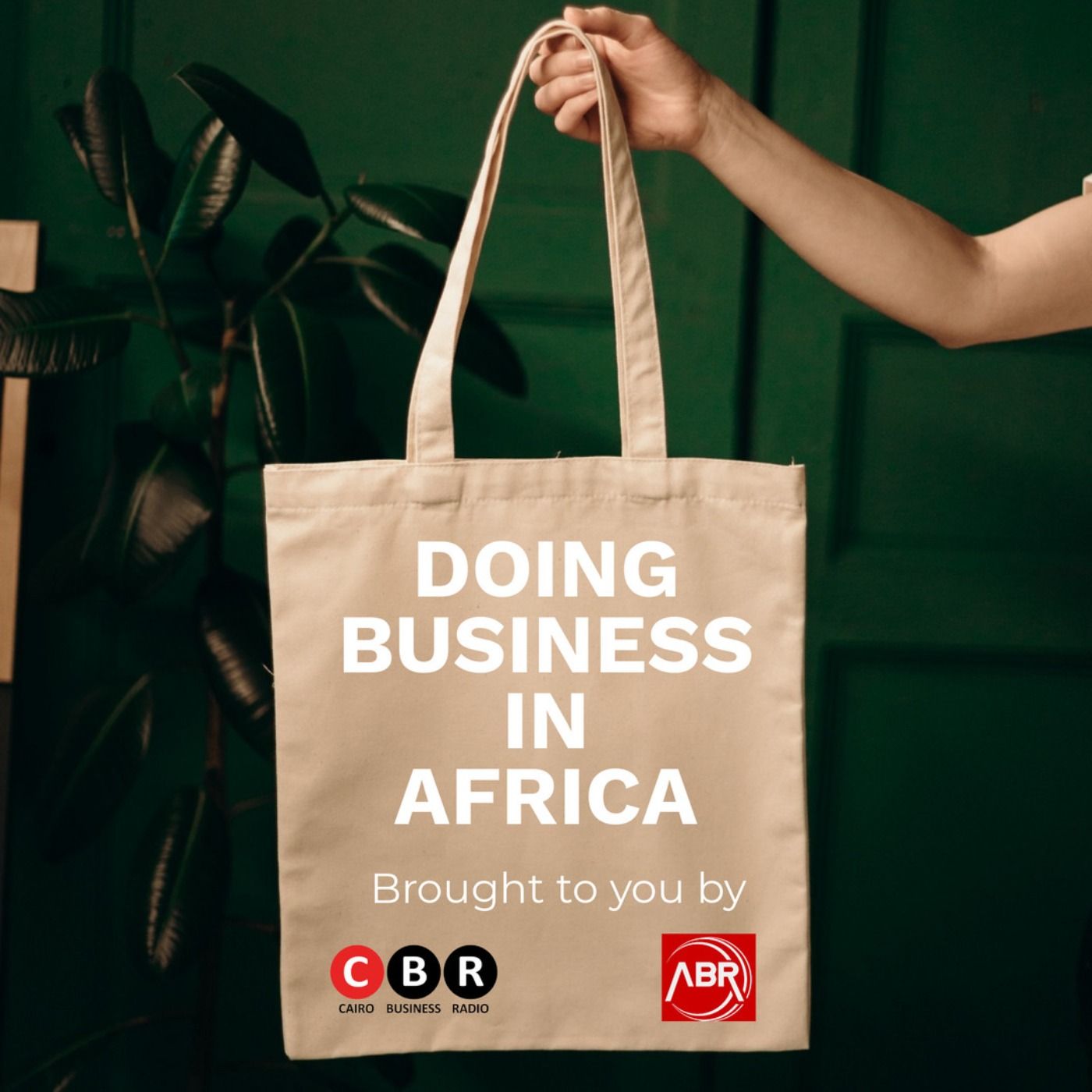 Doing Business in Africa