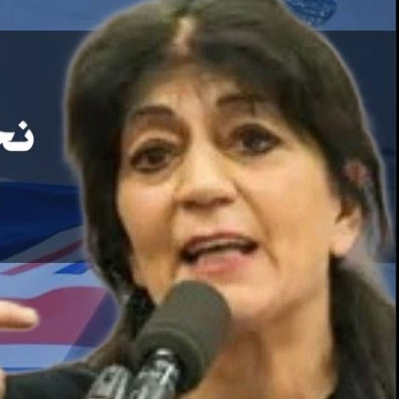 گره‌های درهم‌تنیده خاورمیانه: از آتش‌بس در لبنان تا سقوط حلب در‌سوریه‌| گفتگو با یاسمین میظر