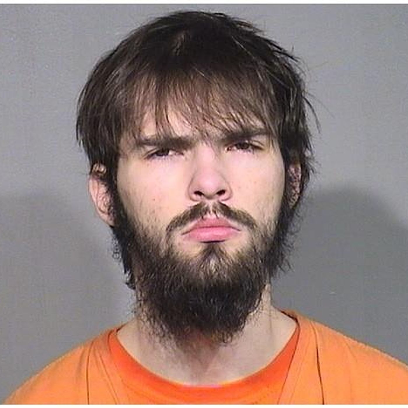 McHenry man accused of possessing 250-plus images of children sex abuse episode artwork