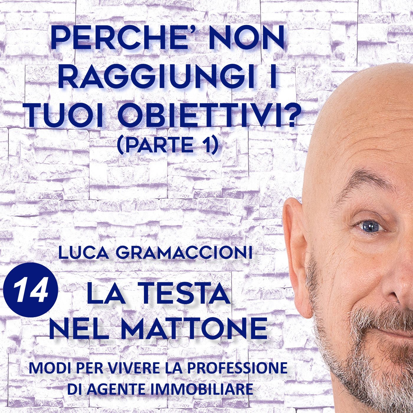 LA TESTA NEL MATTONE