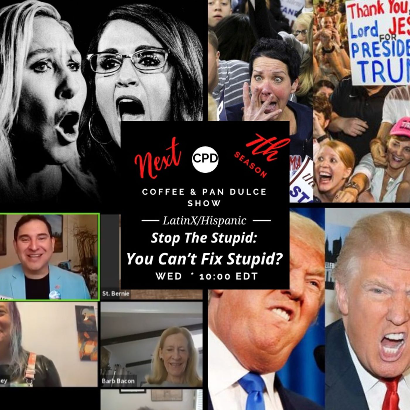 “Stop The Stupid: You Can’t Fix Stupid?”– #CPD0326-11202024 episode artwork