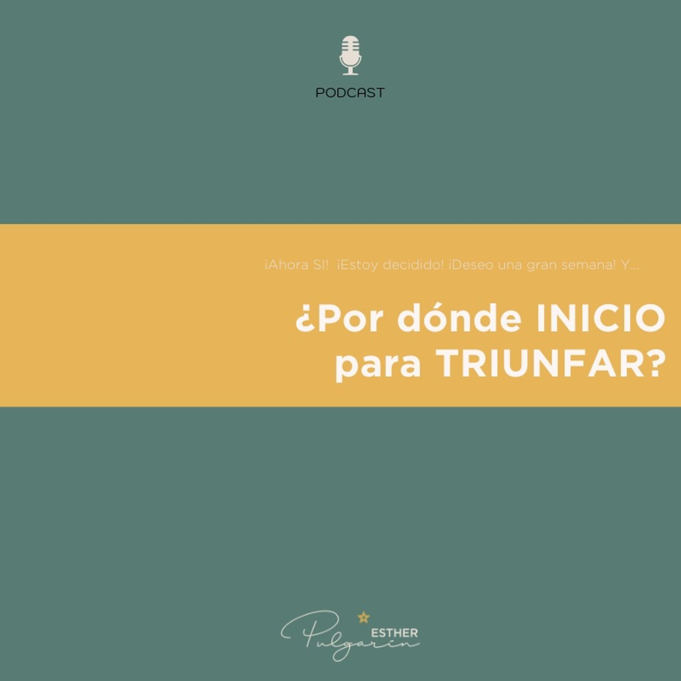 Tejiendo Redes