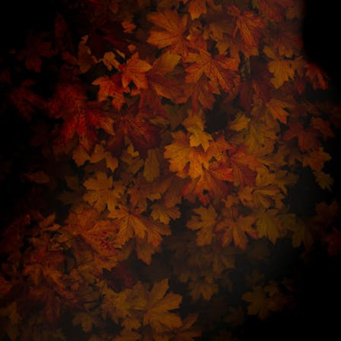 My Friend Claims She’s Gay — What Do I Say?