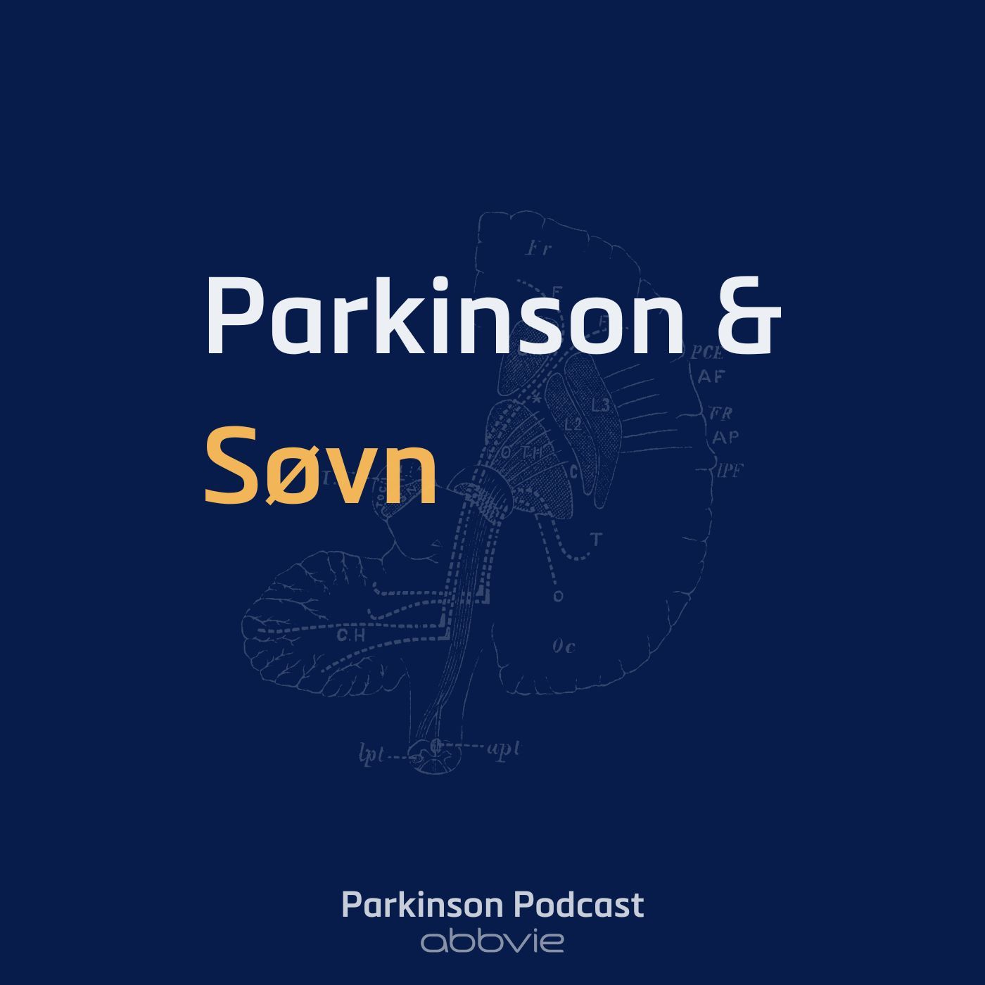 Parkinson & Søvn