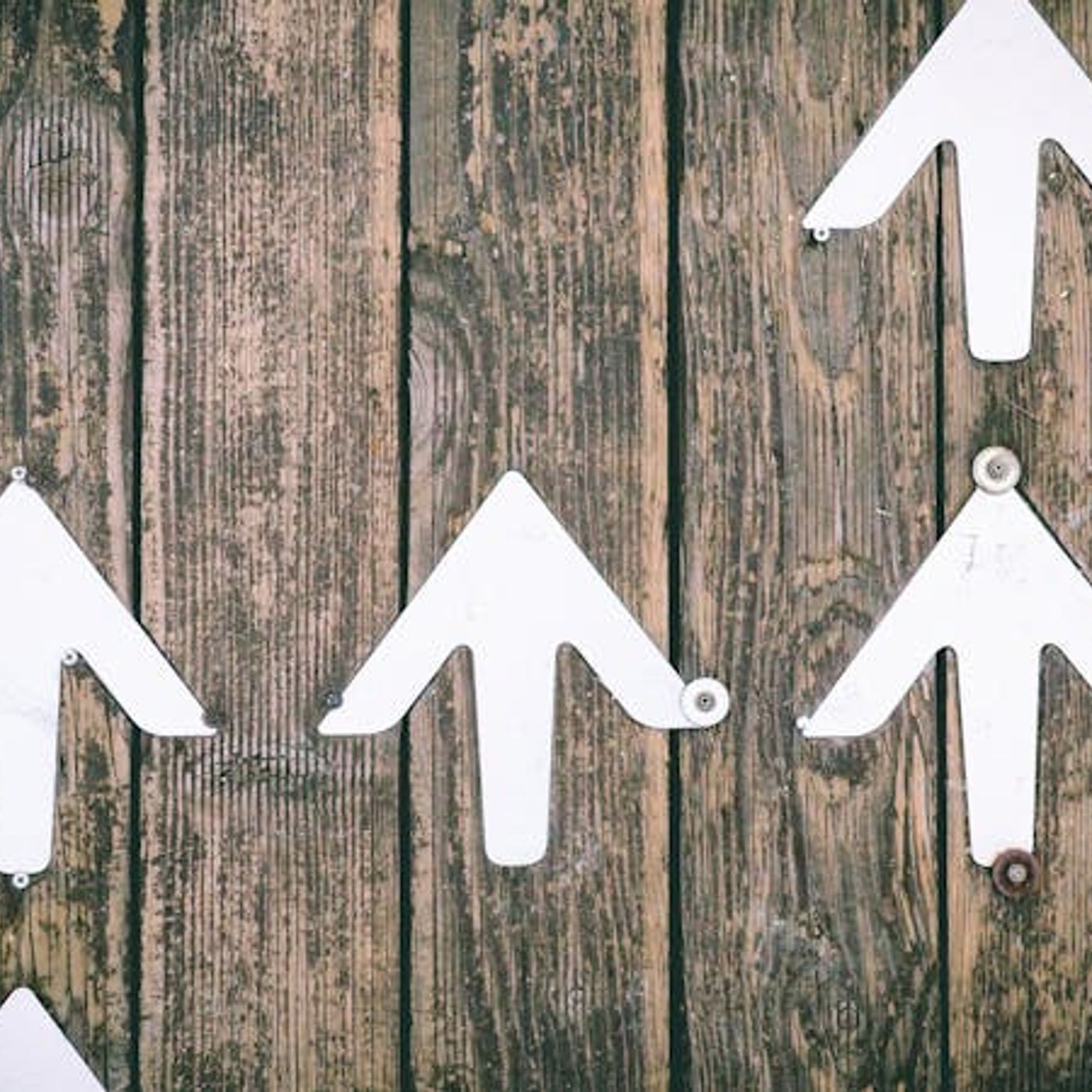 Why Does the Bible Stress the Power of Jesus’s Name?