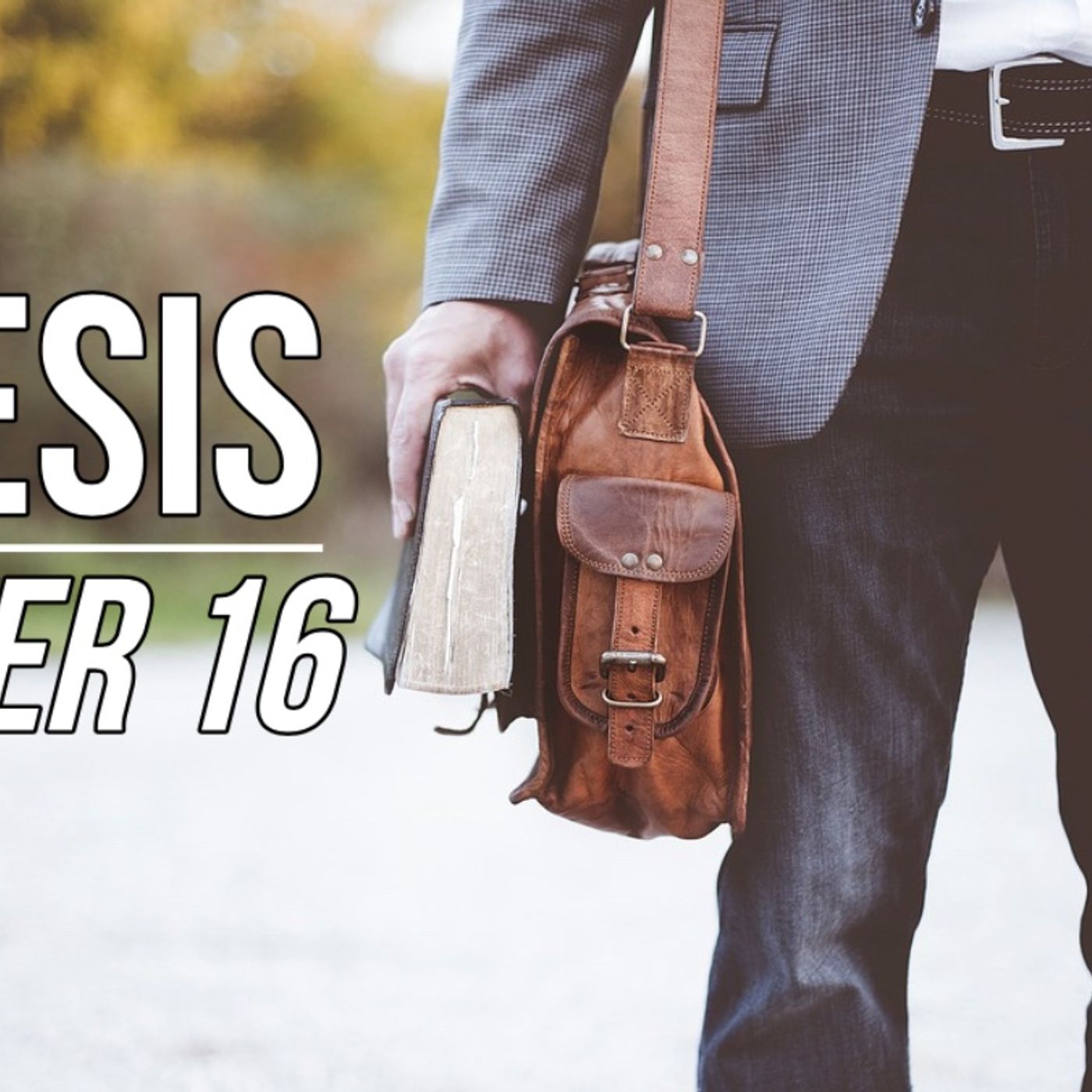 Genesis Chapter 16