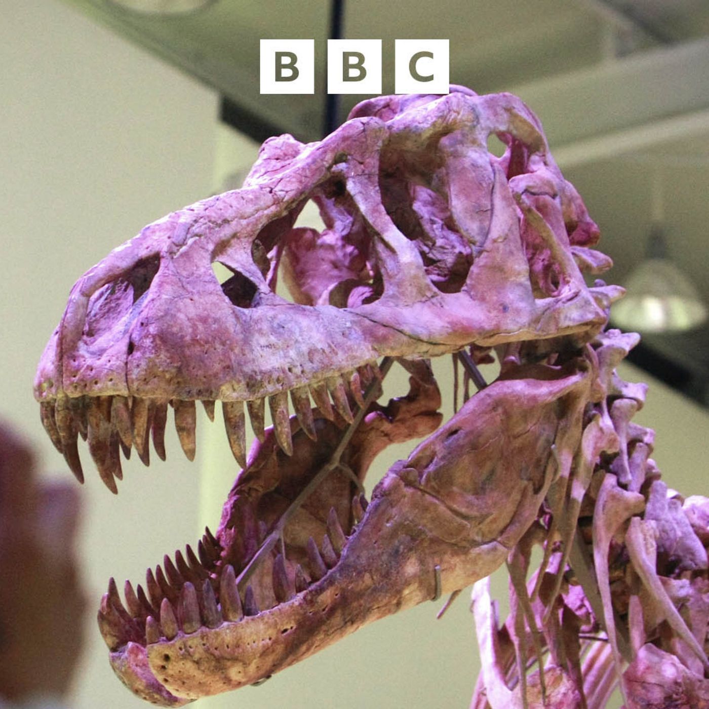 Dinosaur in court