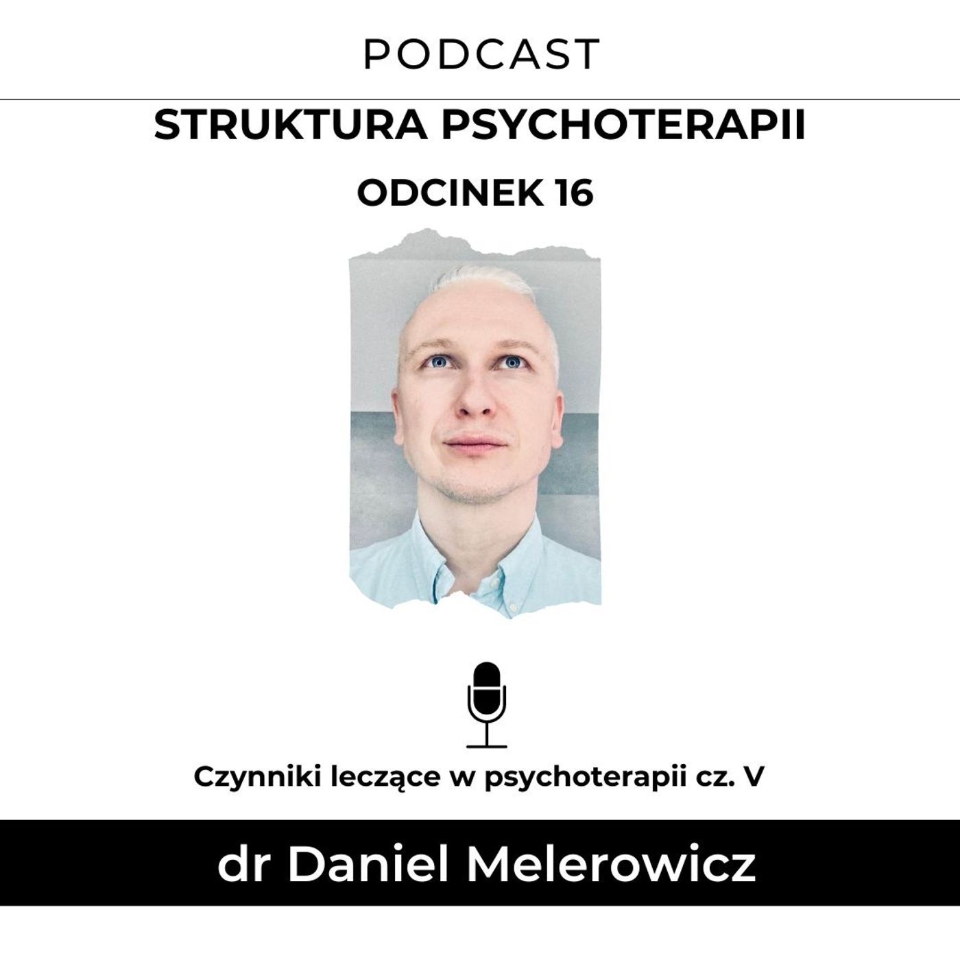 Struktura Psychoterapii