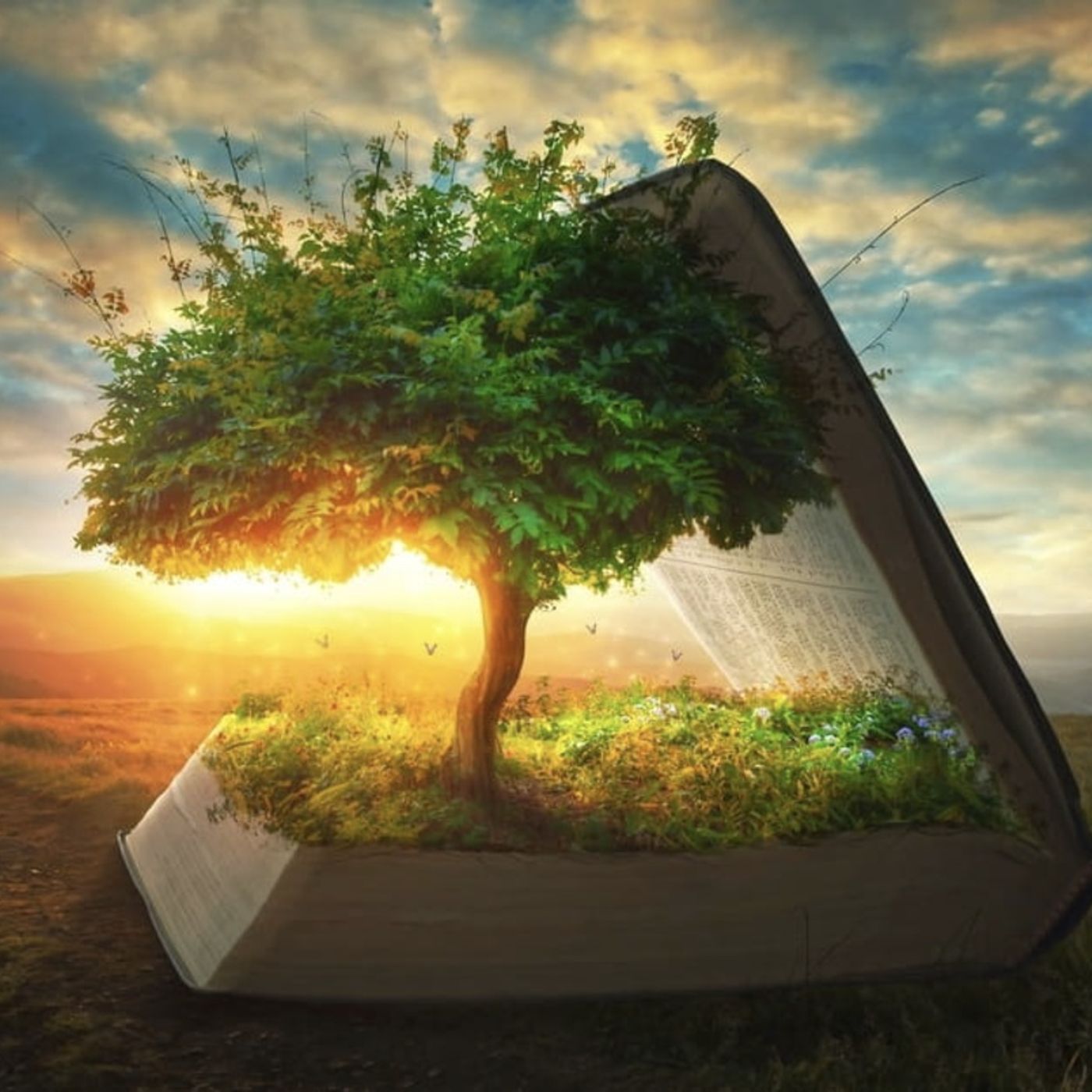 Hard read - Genesis chapter 1 - 11 / NKJV / Dec 4th 2024