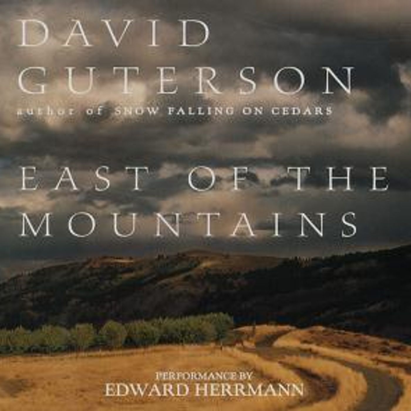 Access Essential Full Audiobooks in Fiction, Action & Adventure