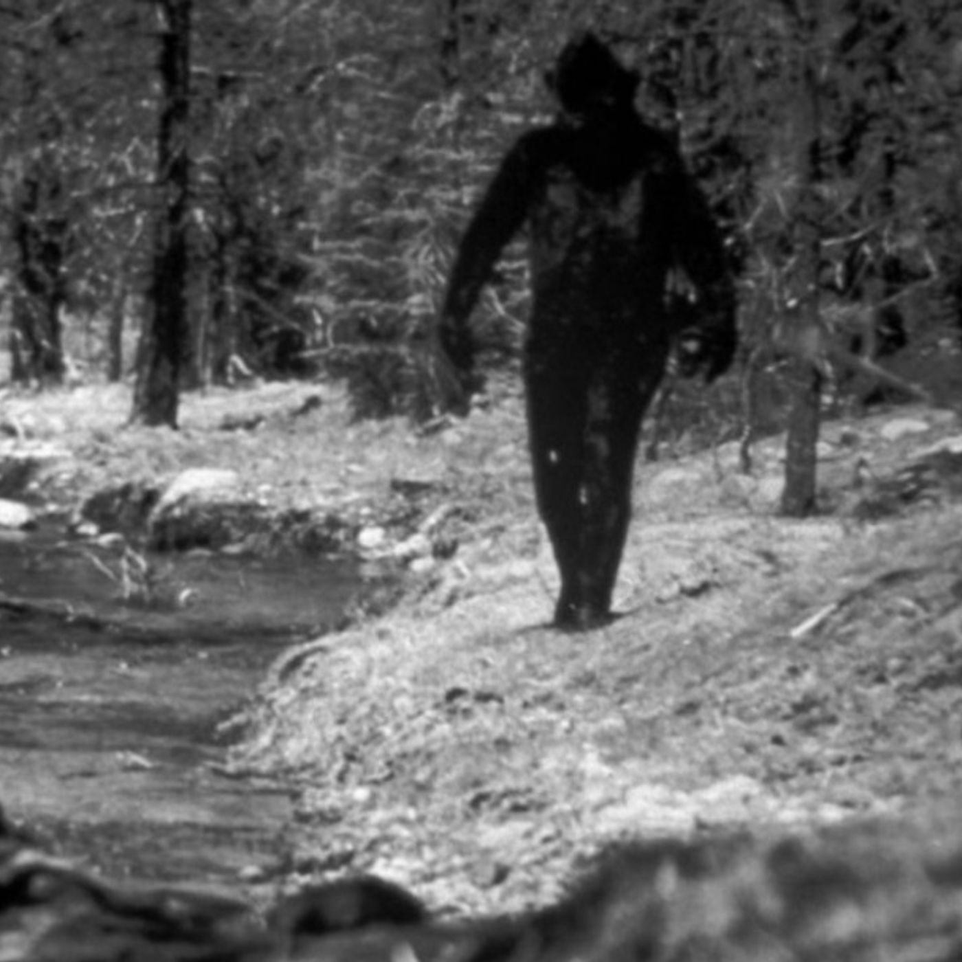 Cryptids And UFO Reports   With Stan Gordon  1/19/23 episode artwork