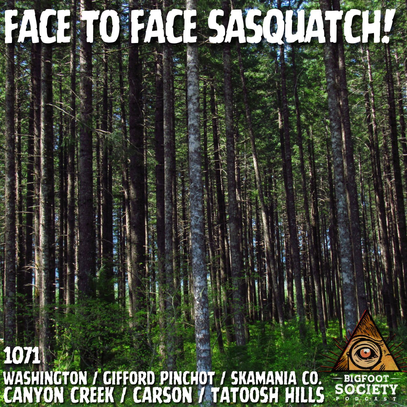 A Retired Military Veteran Shares His Face-to-Face Sasquatch Encounter in Gifford Pinchot National Forest