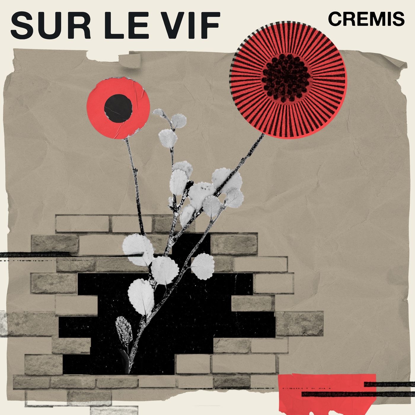 Sur le vif - balado du CREMIS