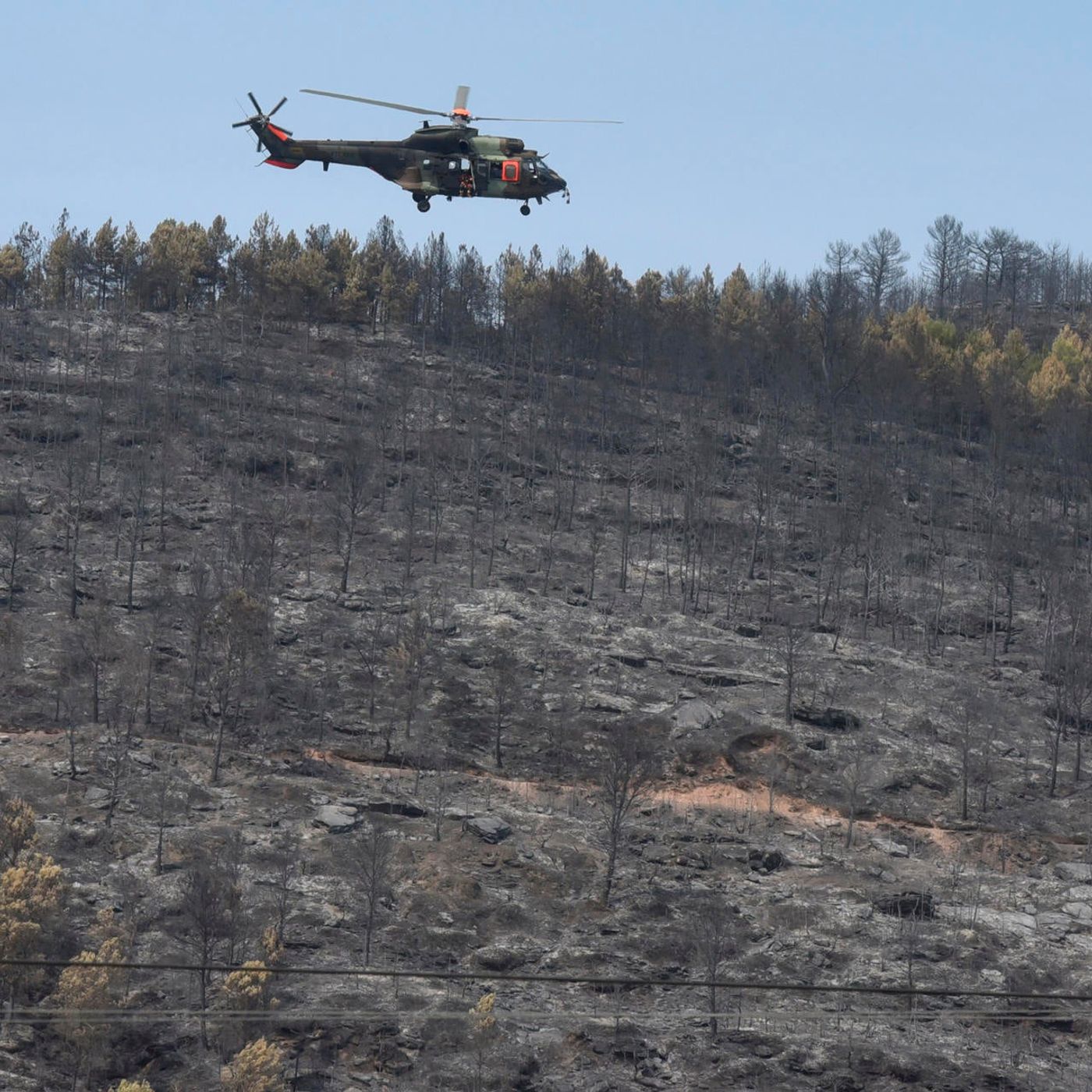 Los factores que hacen que los incendios sean cada vez más difíciles de controlar: "Un fuego pequeño se convierte en algo disparatado"