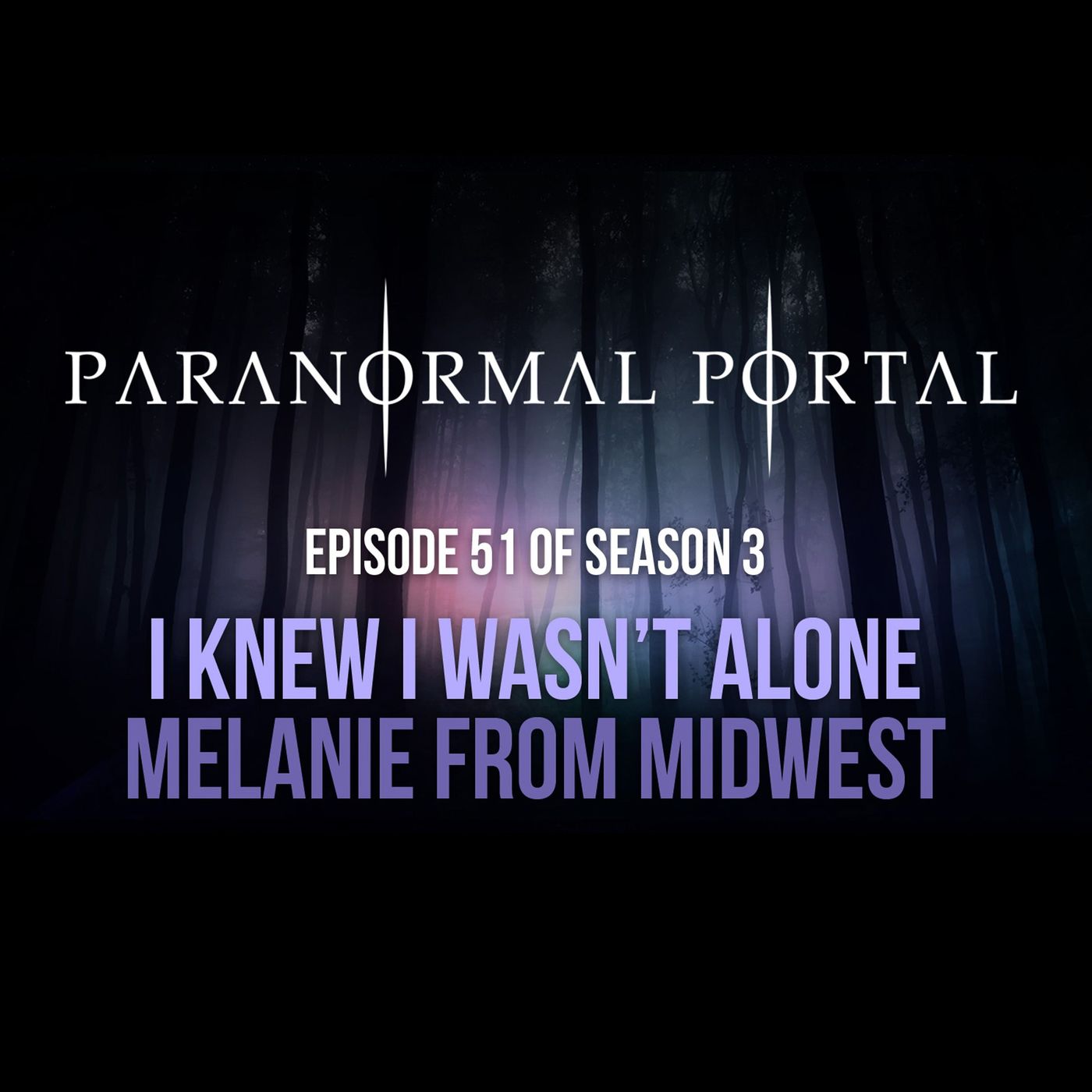 S3EP51 - I Knew I Wasn't Alone - Melanie from Midwest episode artwork