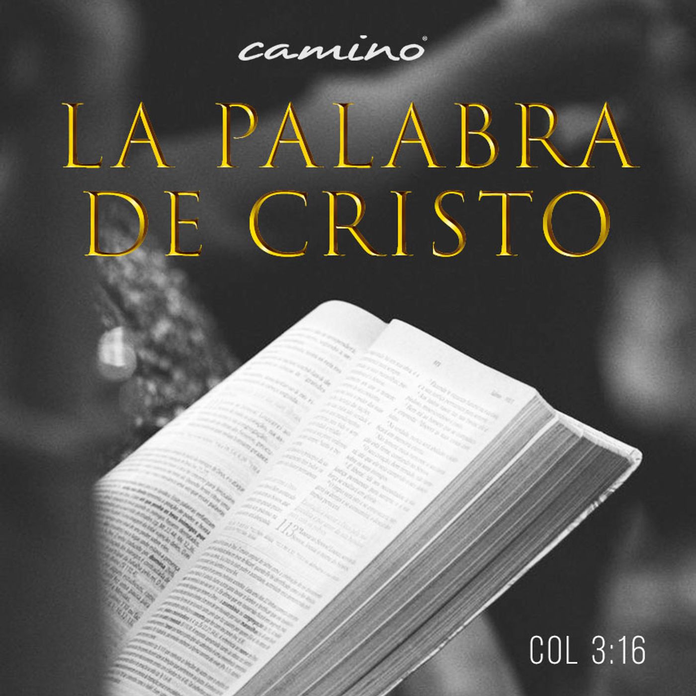 Oración 22 de noviembre (La palabra de Cristo) episode artwork