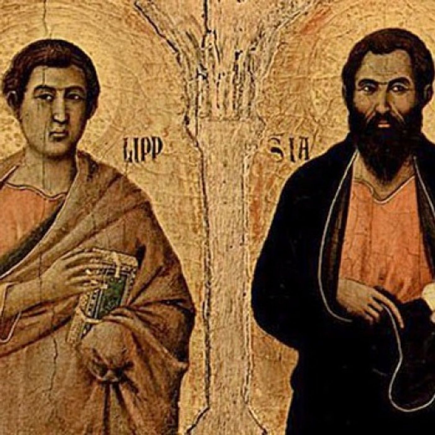 Apostoli: uomini che conobbero e testimoniarono Gesù. Vangelo e omelia | Domenica 5ª di Pasqua (A) 200510 episode artwork