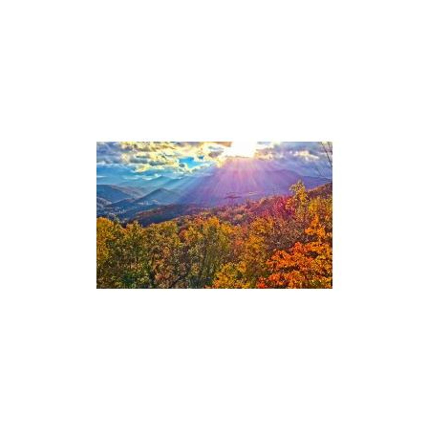 Survival Medicine Hour: Vehicular Terror, Disaster Supplies, Pain Relief