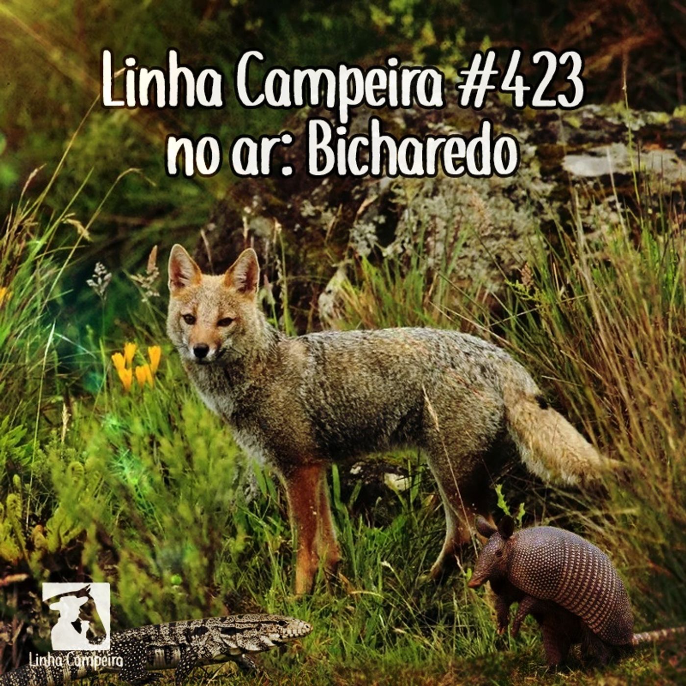 Linha Campeira
