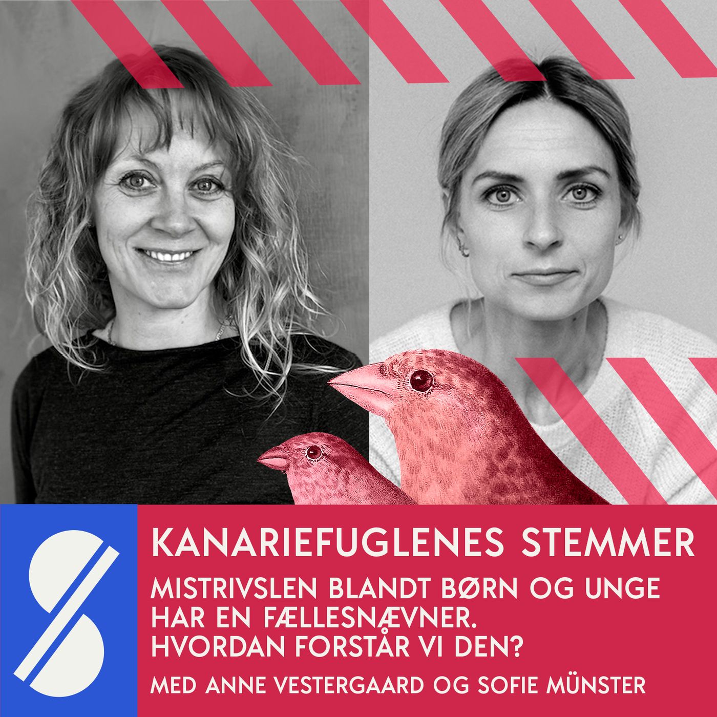 Kanariefuglenes stemmer