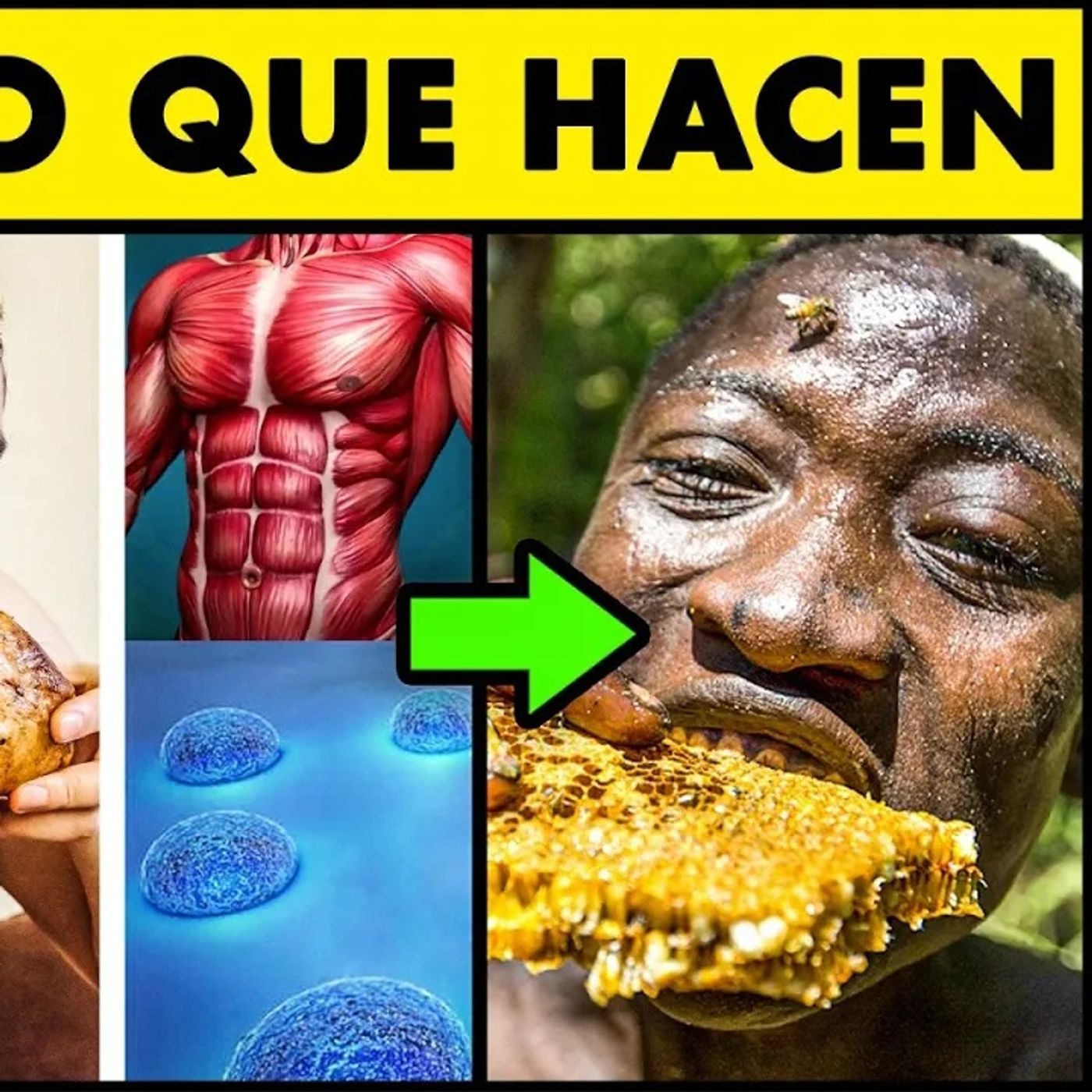 🤫La OCULTA RAZÓN por la que estas Poblaciones NO tienen CÁNCER, INFARTOS o DIABETES