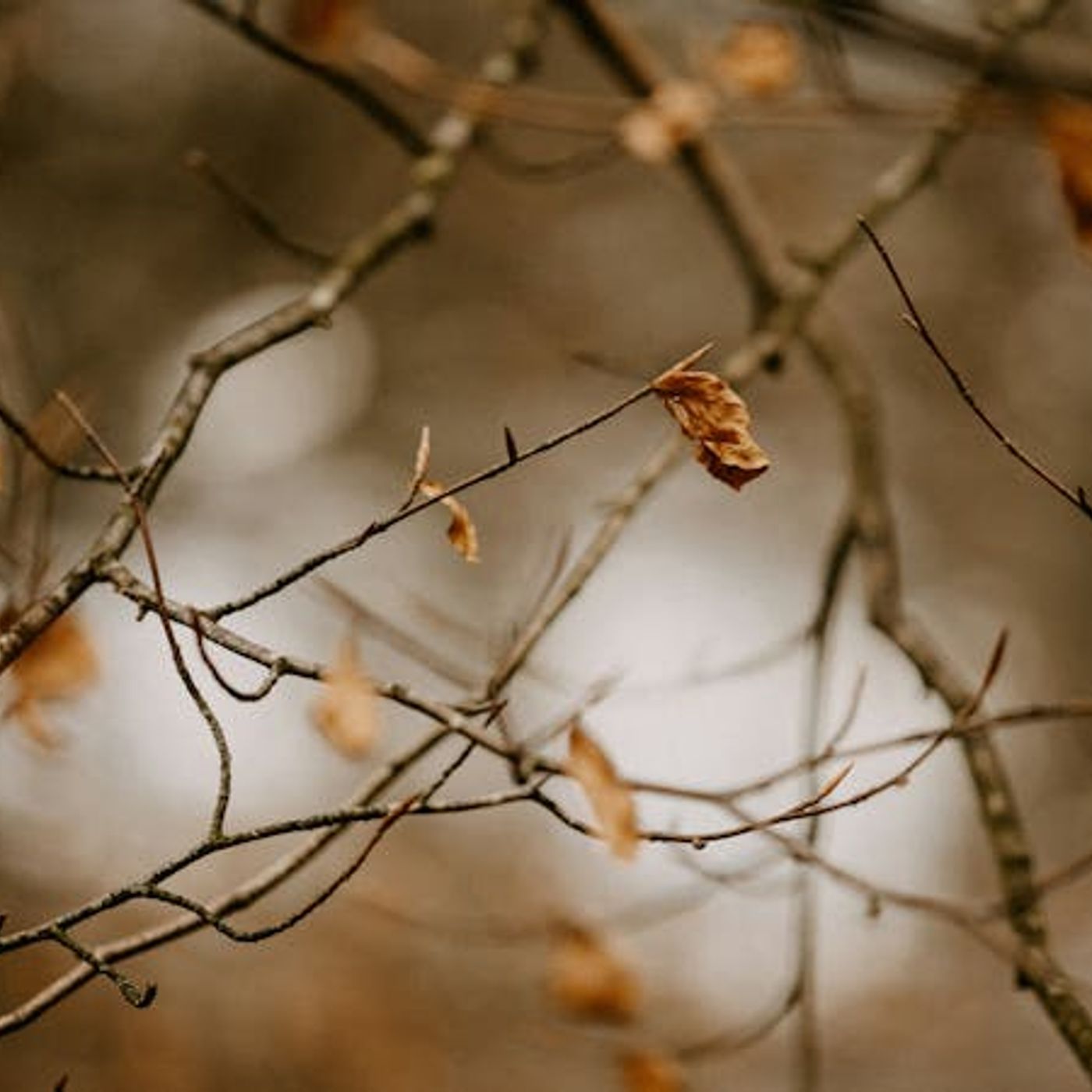 What False Teachings Should Make Me Leave a Church? What False Teachings Should Make Me Leave a Church?