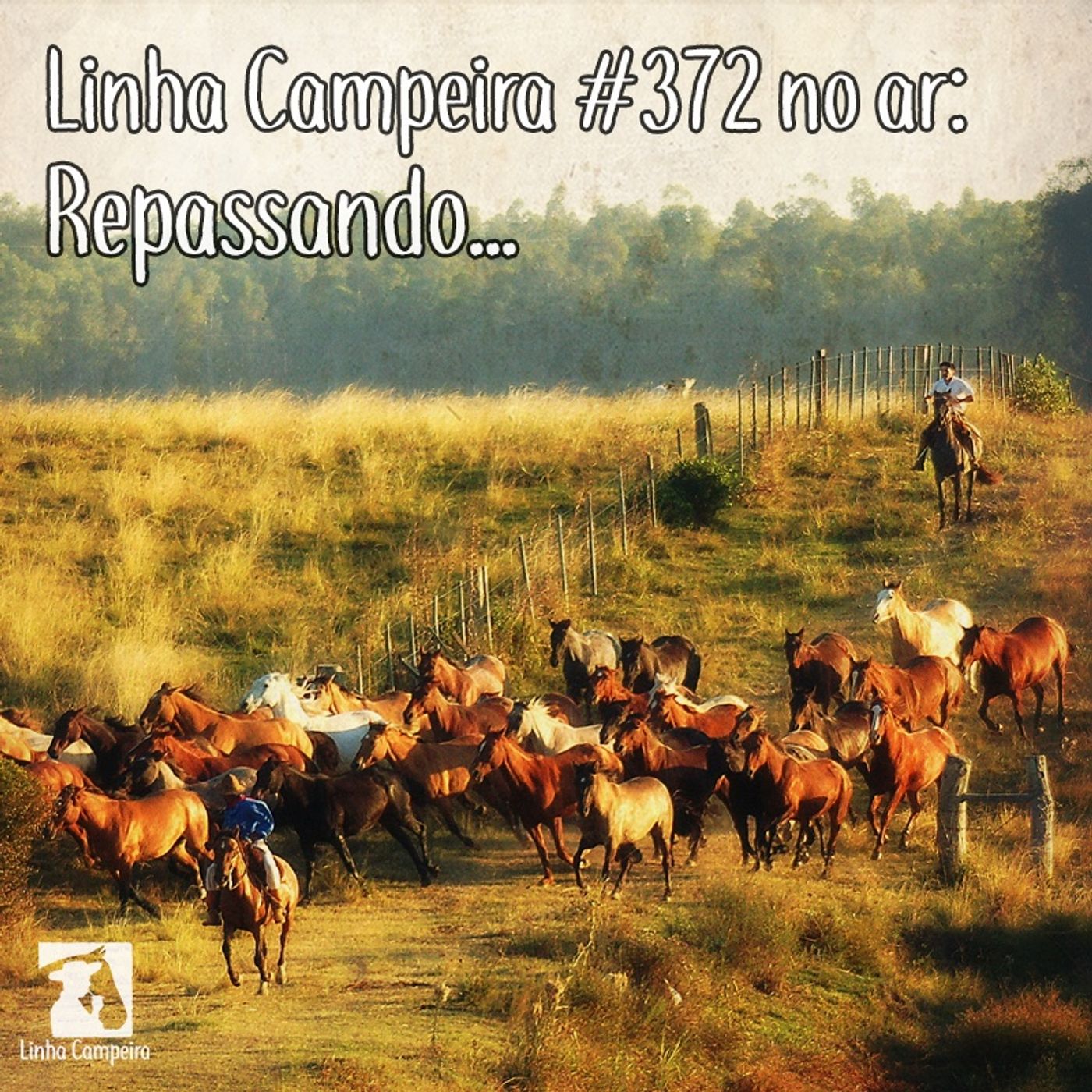 Linha Campeira