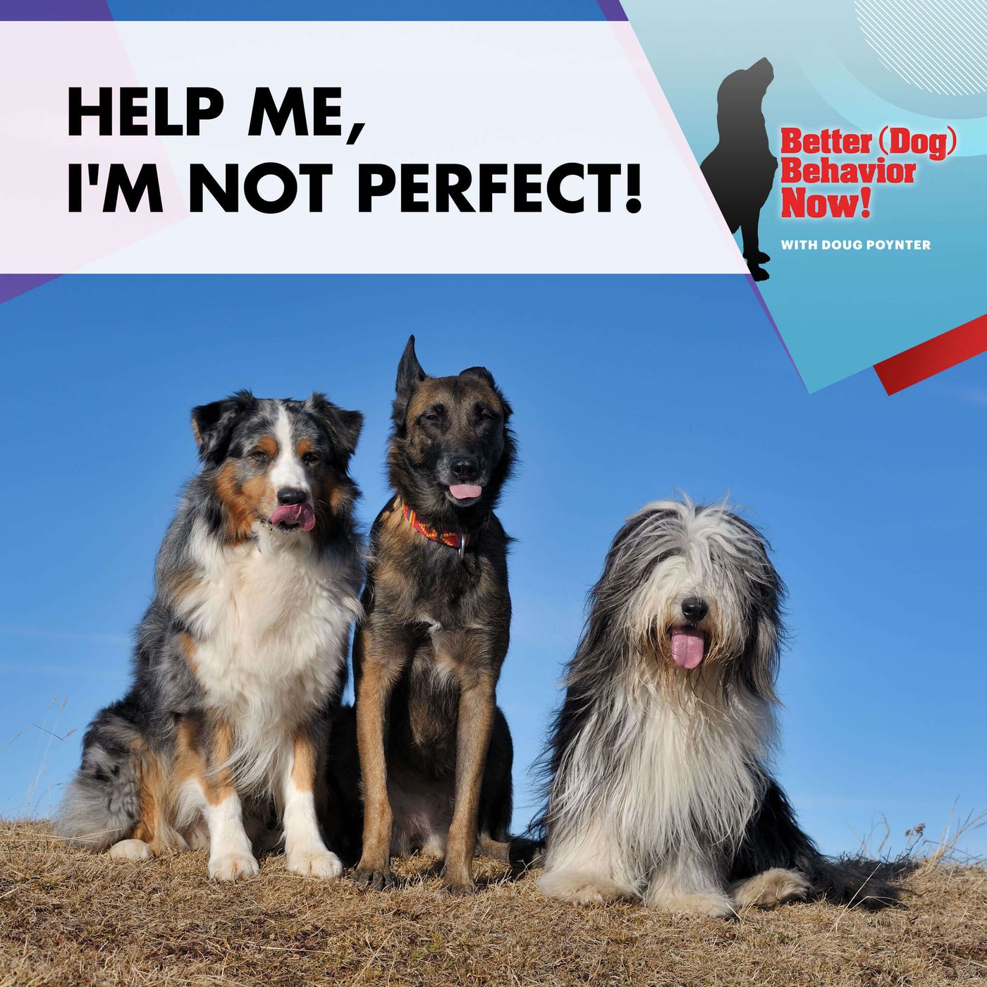 Help Me, I'm Not Perfect! episode artwork