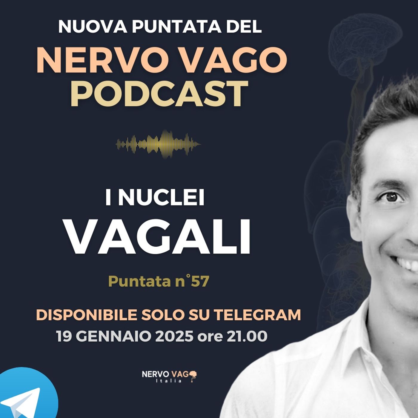 Nervo Vago Podcast