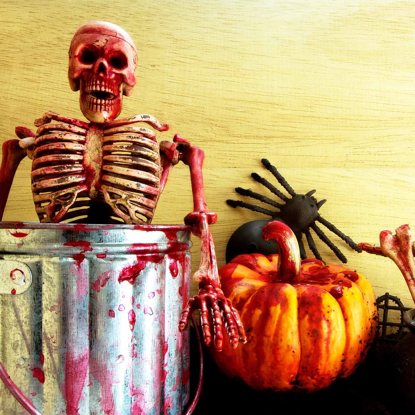Exploding Ghosts and Buckets of Blood: An interview with This Paranormal Life