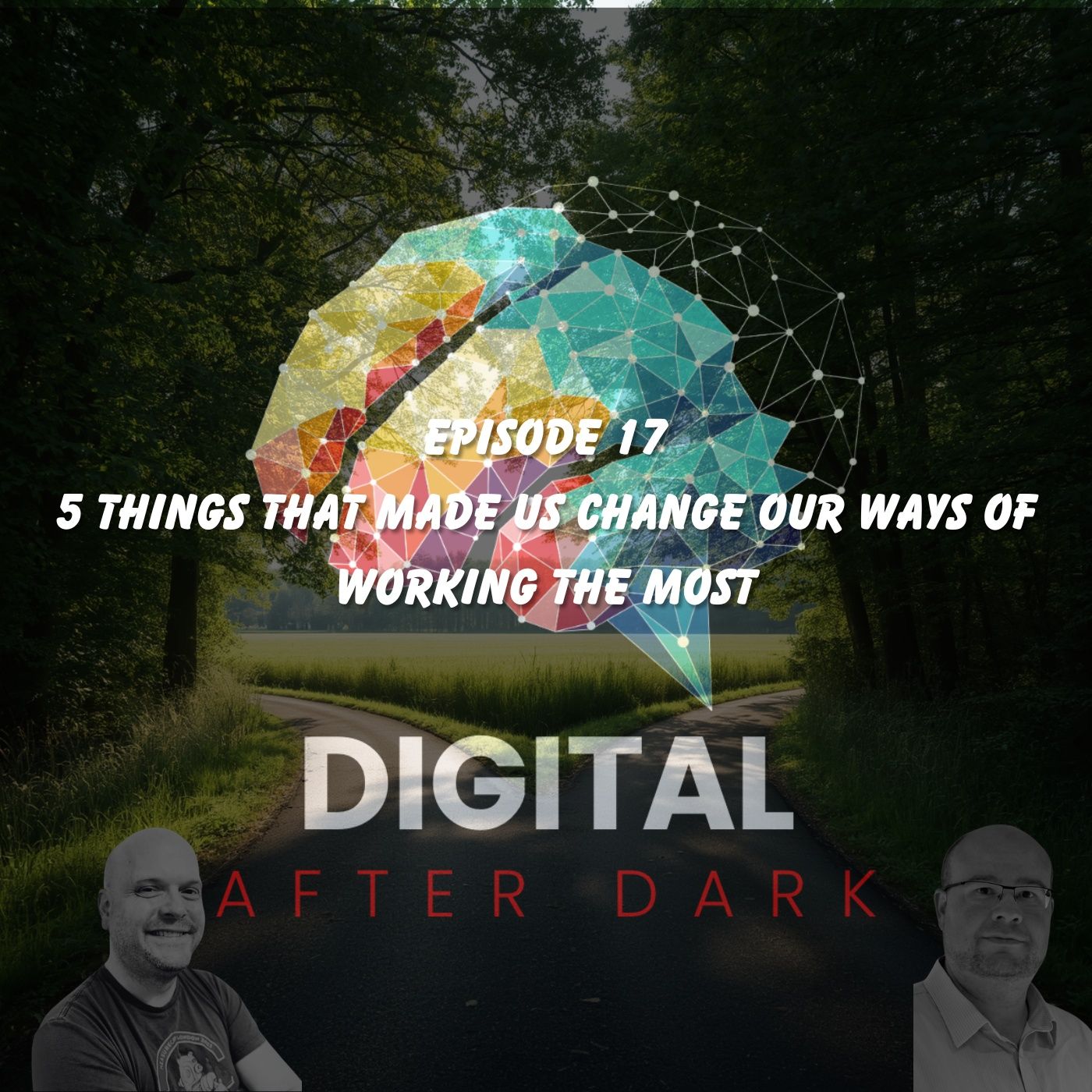 DAD017-The Turning Points That Shaped Fifteen Years in Digital episode artwork