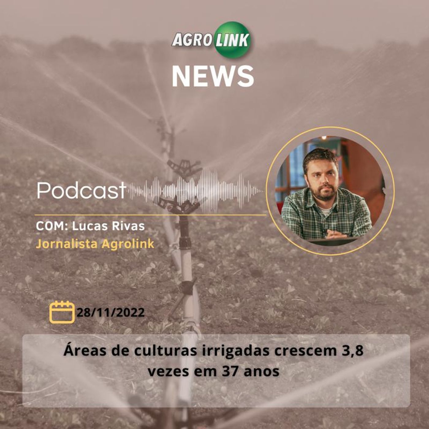 Conab aponta recorde nas exportações de carne de frango episode artwork
