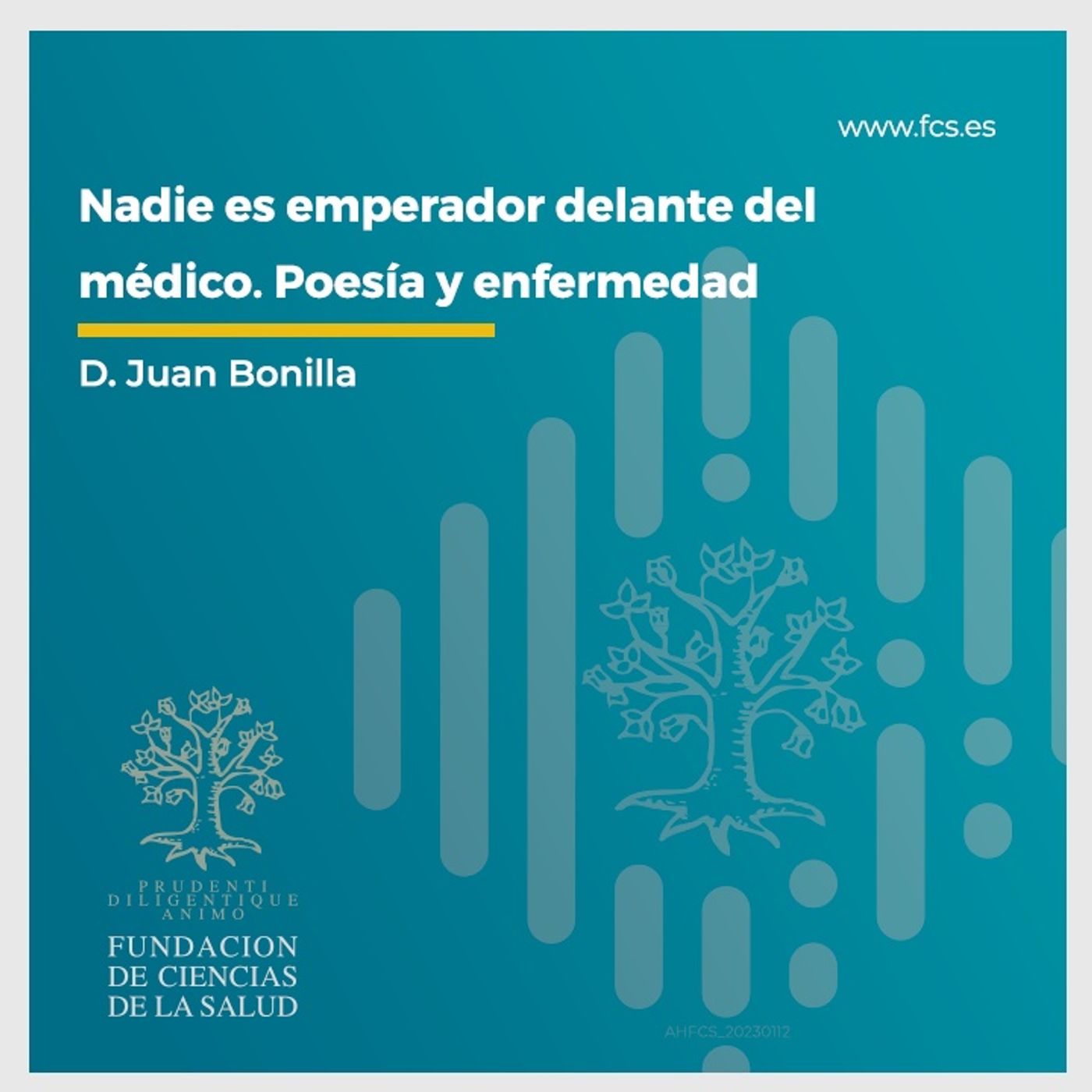 Con otra Mirada, Literatura y Enfermedad
