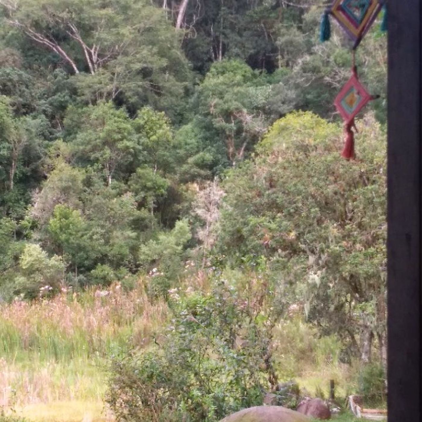 Irradiação Meio Dia