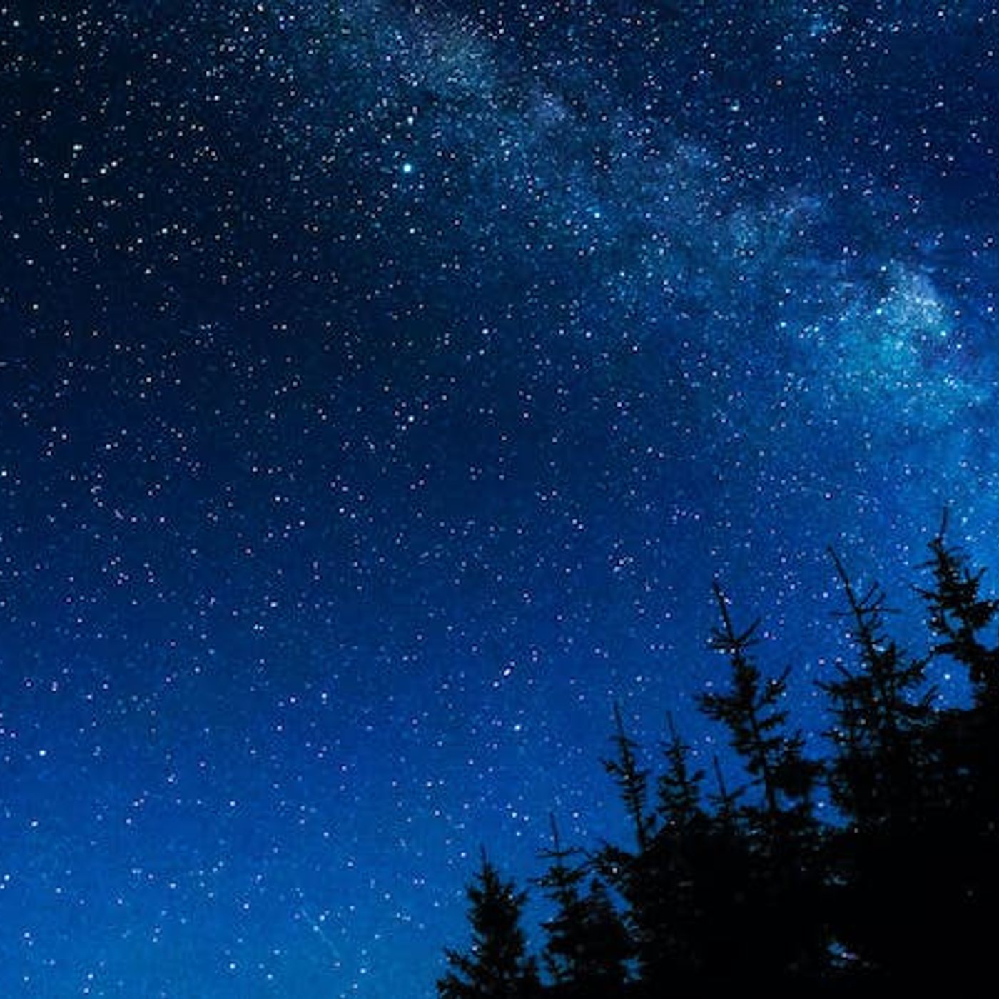 History Ended at Christmas