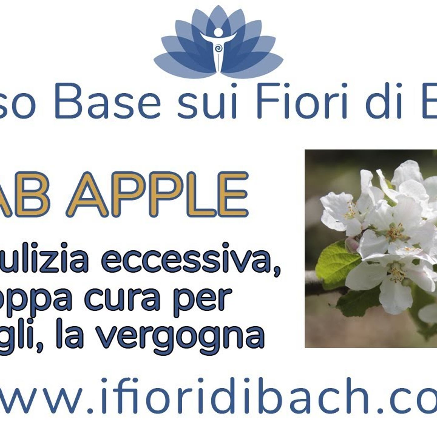 Fiori di Bach in pillole
