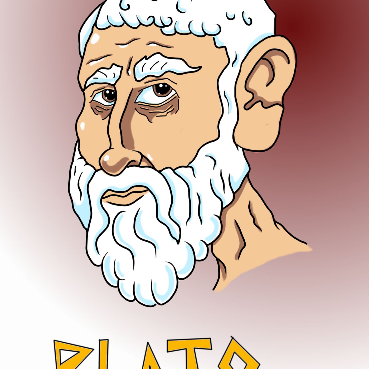 Platone for dummies