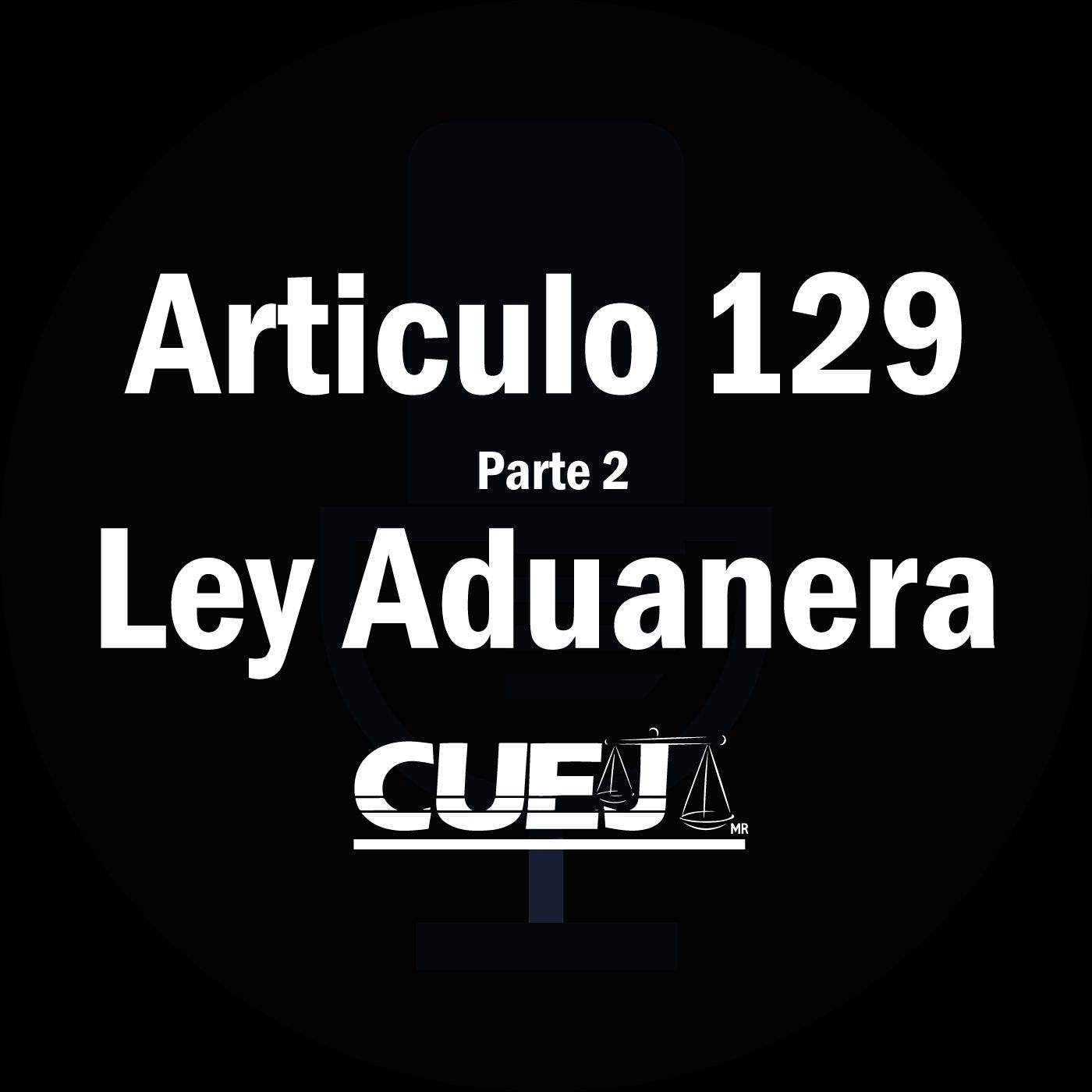 Audio Ley Aduanera