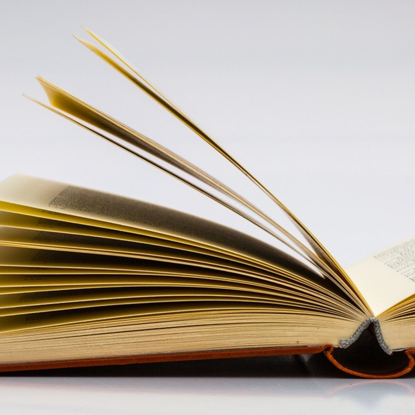 LETTURA AD ALTA VOCE