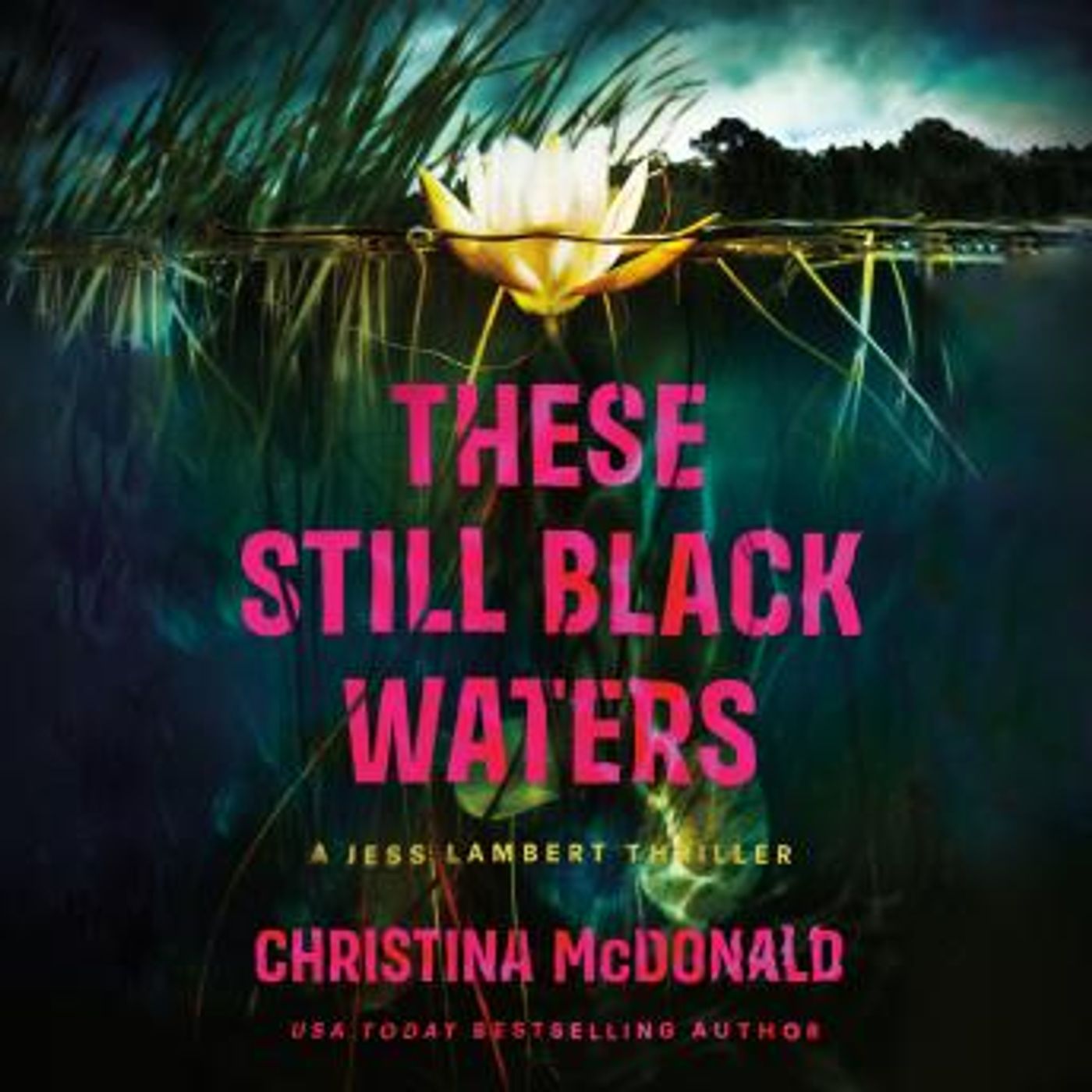 These Still Black Waters by Christina McDonald episode artwork