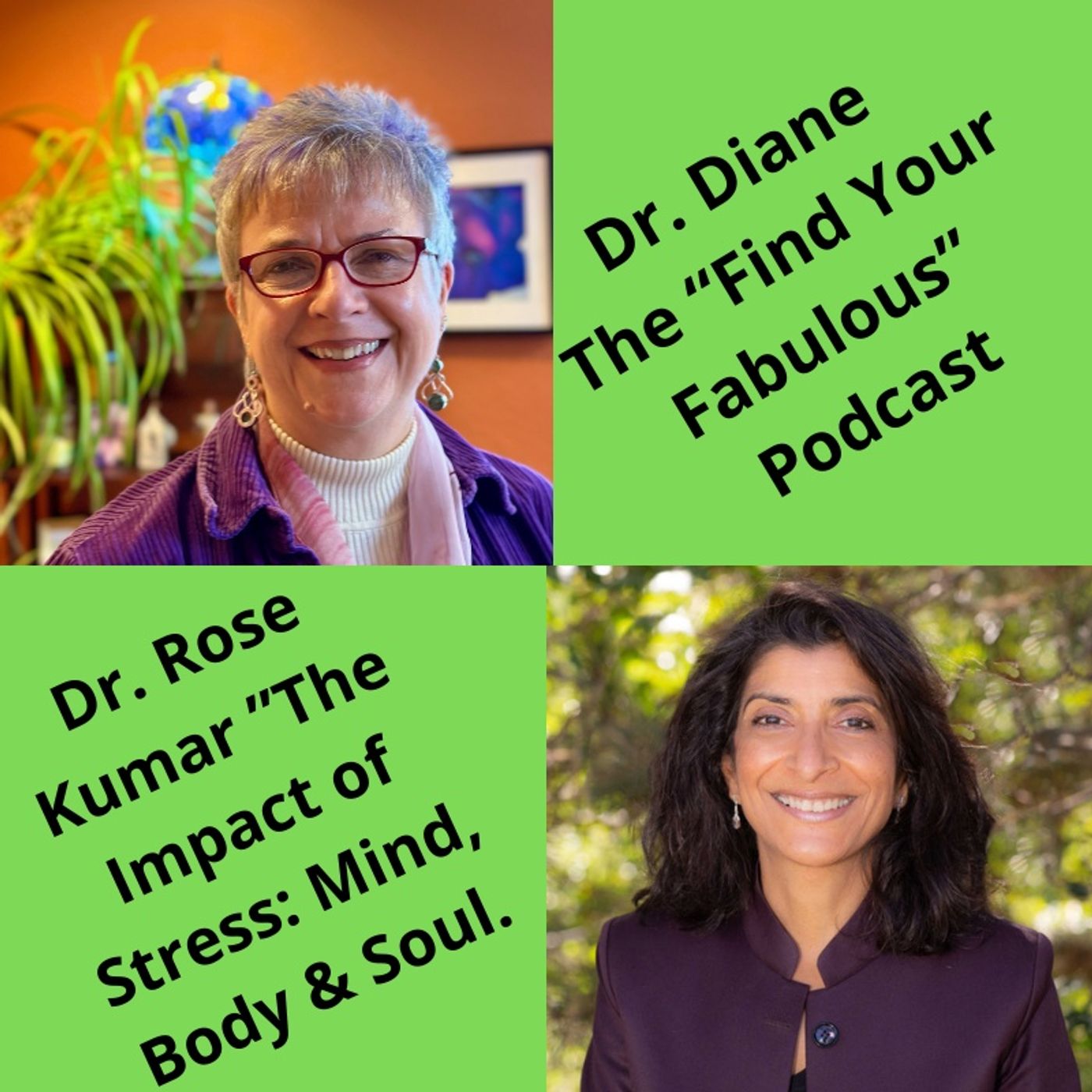 The Impact of Stress on Mind, Body & Soul! episode artwork