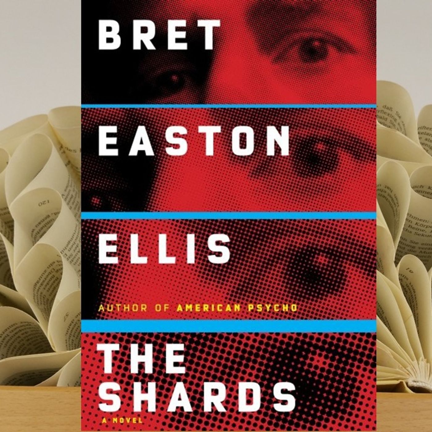 27.02. Bret Easton Ellis - The Shards (Renate Zimmermann) episode artwork