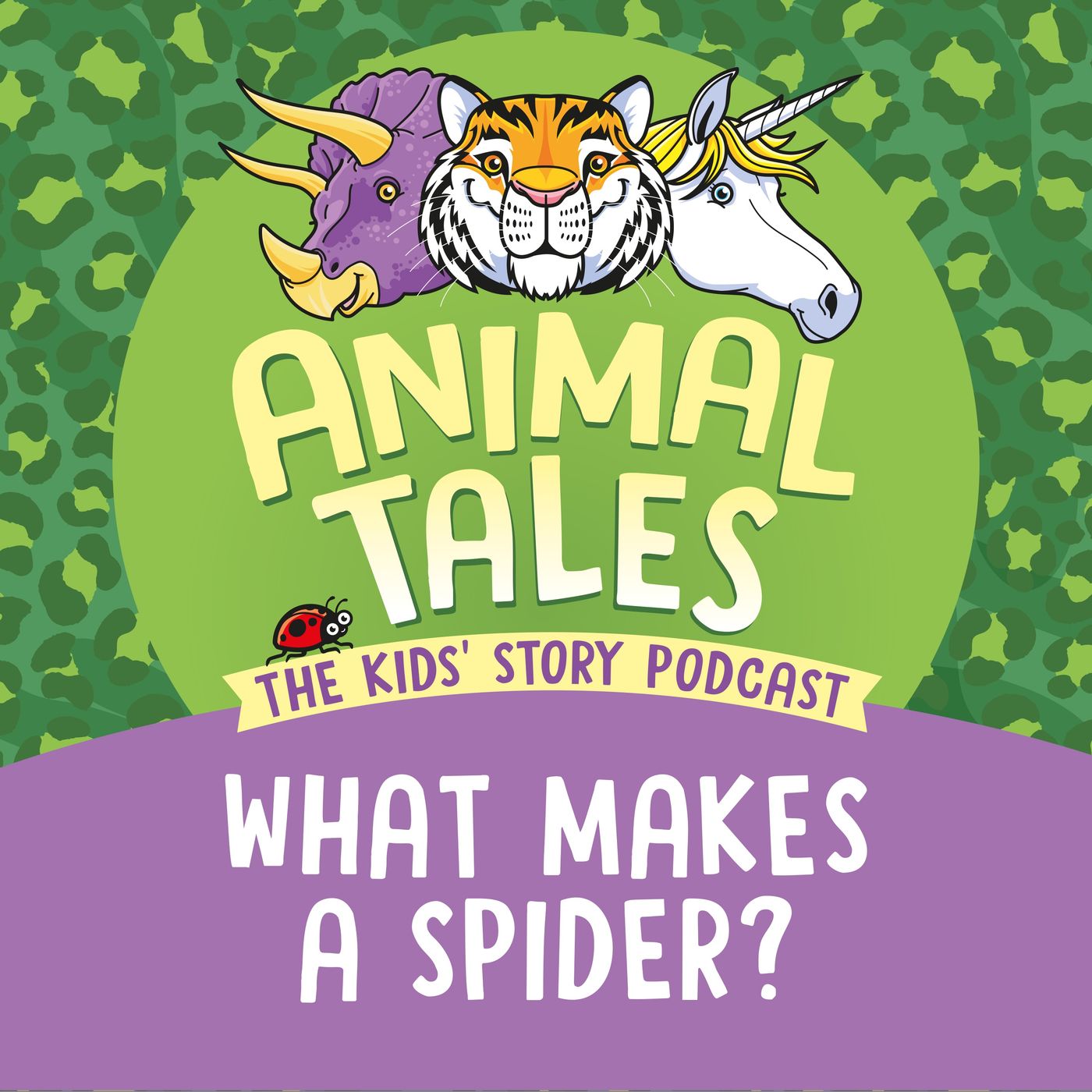 What Makes A Spider?