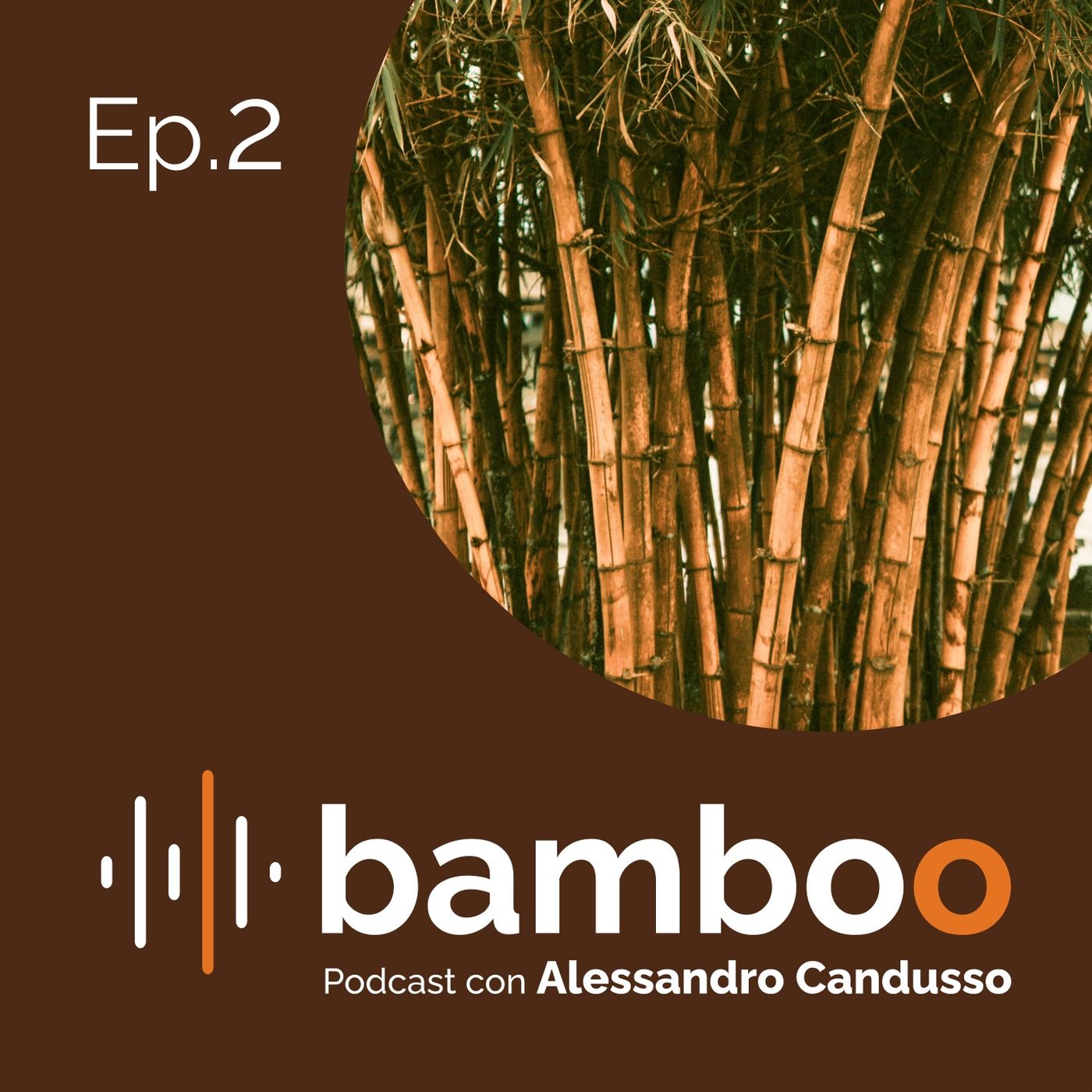 Bamboo Podcast con Alessandro Candusso