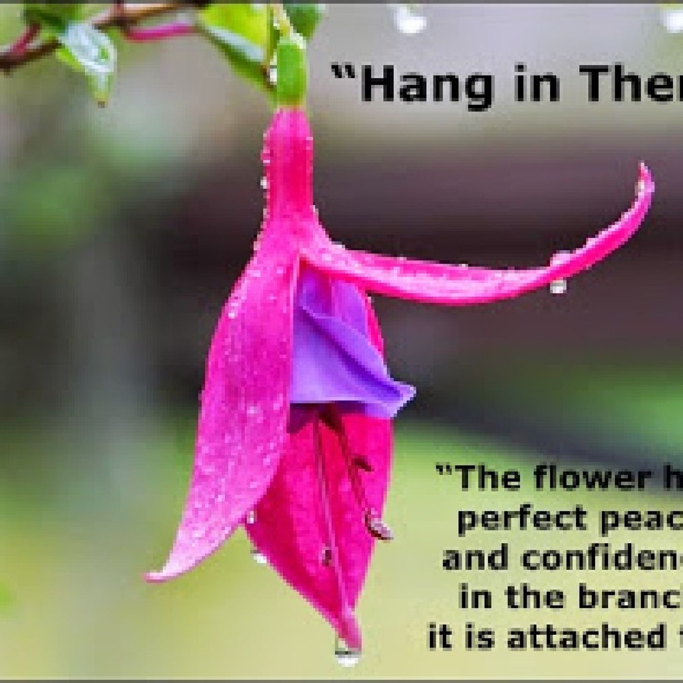 Times Of Refreshing Radio