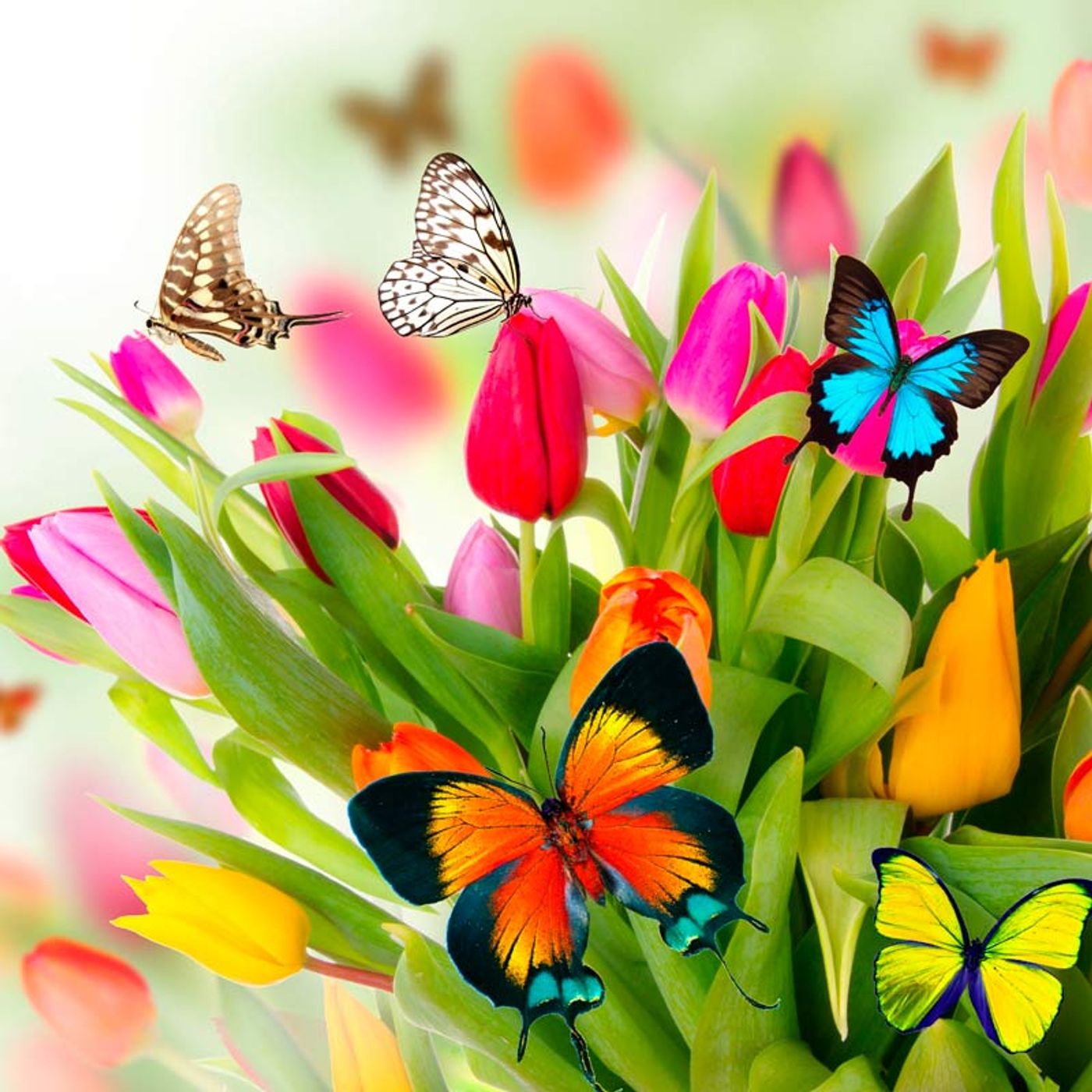 La primavera
