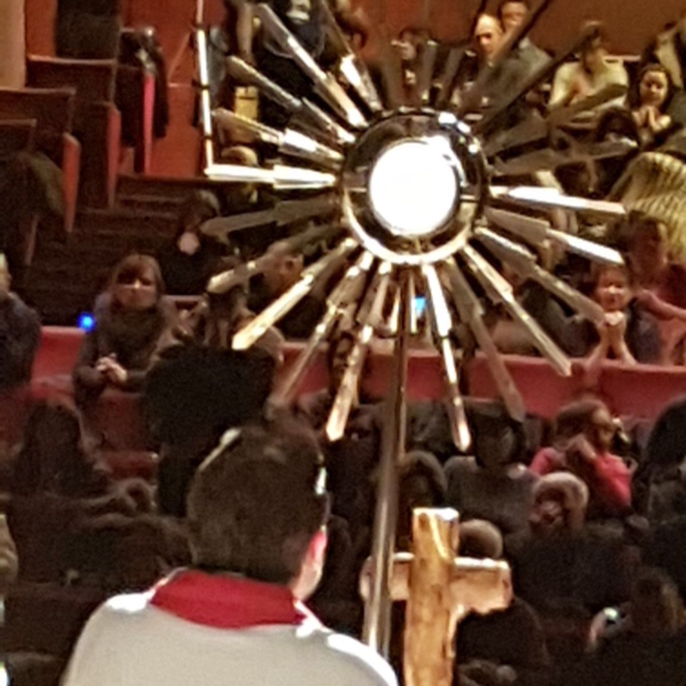 🌻🔥 Domenica d. Palme. S. Messa. Medjugorje - Como (Gallarate 25-3-18) episode artwork